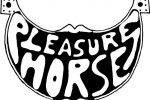 PLEASURE HORSE