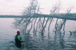 BEARFISH PADDLERS