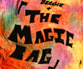 BERGIE & THE MAGIC BAG