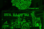 Mr. Blotto Widespread Panic Afterparty