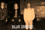 BLUE DREAM BLUE DREAM