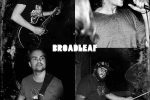 Broadleaf