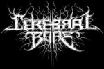 CEREBRAL BORE