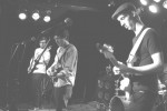 DOGS AT LARGE
