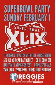 Annual Superbowl Bash