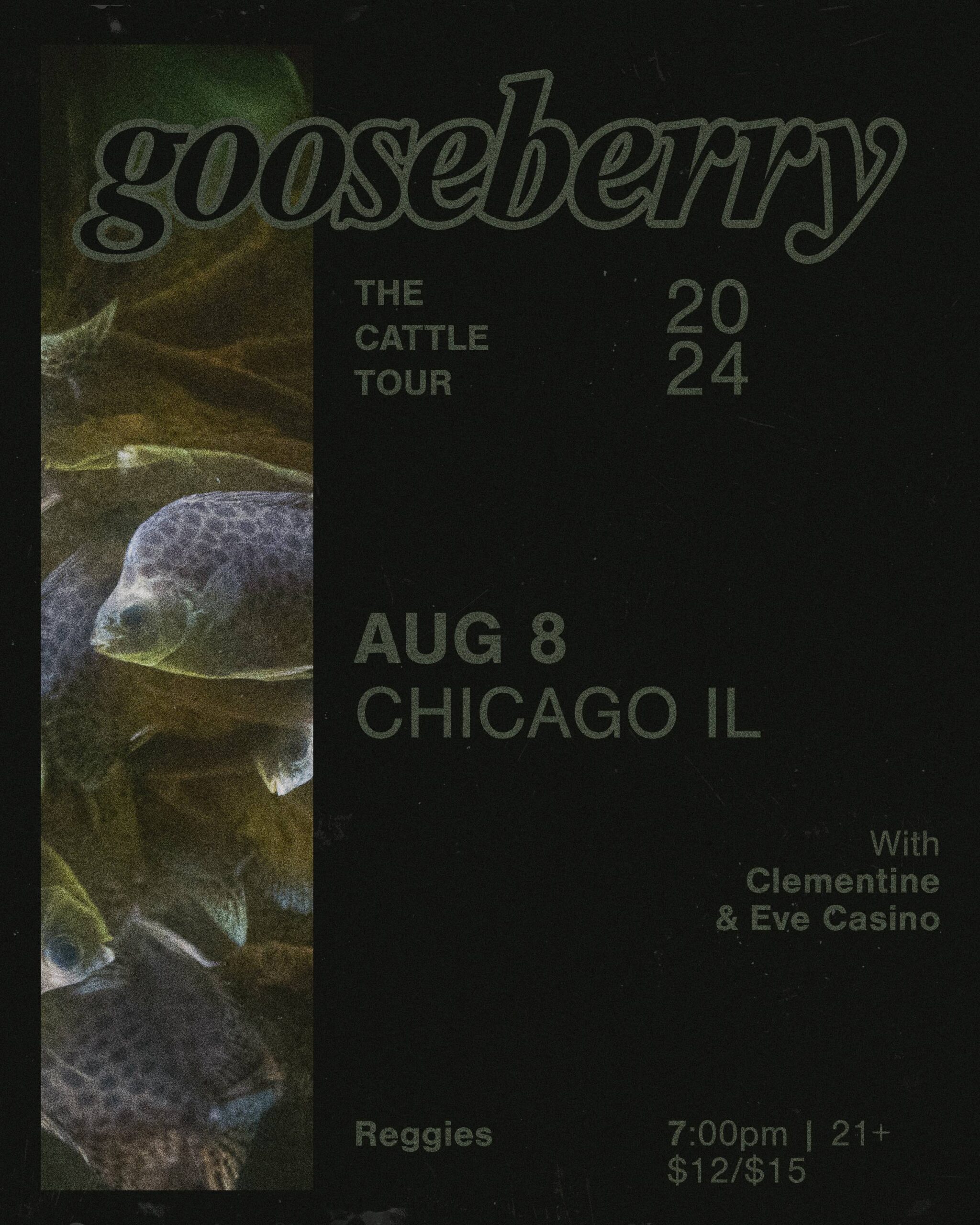 Gooseberry