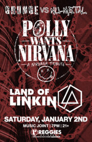 Land Of Linkin