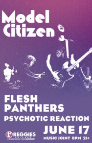 model citizen