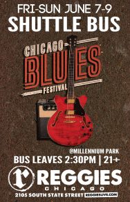 Chicago Blues Fest