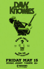 Davy Knowles