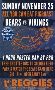 Chicago Bears vs Vikings