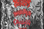 Scathing Torment