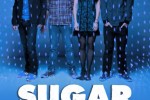 SUGAR GLYDER