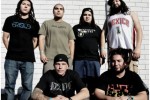TRIBAL SEEDS TRIBAL SEEDS