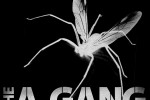 THE A-GANG