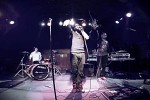 THE BRANDON FOX PROJECT
