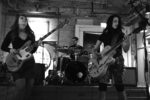 THE DYES