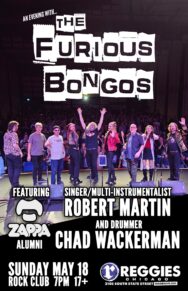 The Furious Bongos