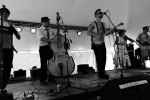THE MADPOLECATS THE MADPOLECATS
