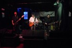THE TREESHAKERS