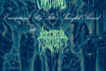 Tomb Mold