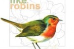 WHY I LIKE ROBINS