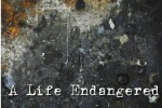 A LIFE ENDANGERED