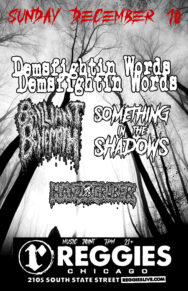 Demsfightinwords