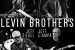 LEVIN BROTHERS LEVIN BROTHERS