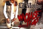 LIL MOUSE LIL MOUSE