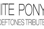 WHITE PONY WHITE PONY